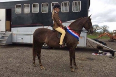 Tremarl Bumble Bee & Ellie Kirkbride