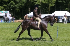 Bradley Dogan and Chiddock Bed Time