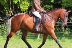 Mr Oscar Cookson and Kayleigh smith