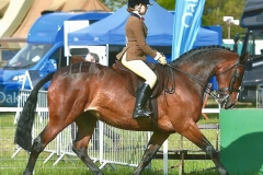 Tori Thomas riding Sannan Valley Cascade