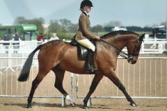 Darci Barnes and Greylands Sundance Kid