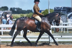 Eve Duggan and Withymoor Damsel