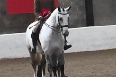 Wreck it Ralph and Peter Hodgkinson