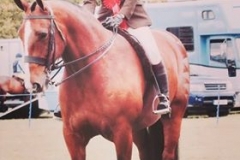 Stewart's fancy and Rachael Holmes