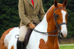 William Pittendrigh and constellation II