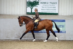Cavalier choice Rider Danielle Heath