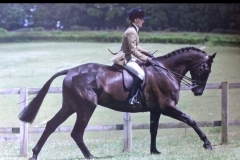 Decorum and L Robertson