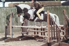 Pebbly Sultan Pepper and Phoebe Good