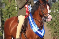 Brooke-Pickering-and-River-valley-romance
