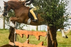 Gracie-Aungier-and-Friars-Gold-Fever