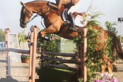 Katie heginbotham and Carnsdale talk talk