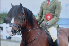 Declan-Horton-and-Menai-moon-Ranger