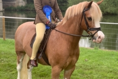 Freya Herring and Blisland Hero