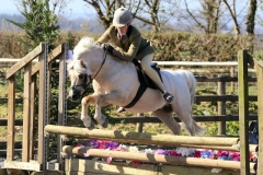 Sam-Roberts-and-Lledrith-Nemesis