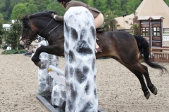 Davinia-Johnson-and-Stowbrook-Red-Kite