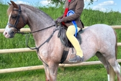 Flissy-Watts-and-Annandale-New-Approach