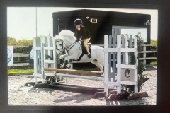 1_Penny-Richardson-Horse_Pony-Elberry-Suilen