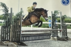 Alice-Hartenfeld-Horse_Pony-Anchor-lullaby