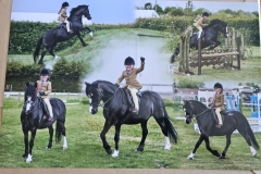 Harriett-Platt-Horse_Pony-Hayesbrook-Double-Trouble