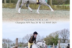 Lilly-Richardson-Horse_Pony-Marsh-Walk-On-By