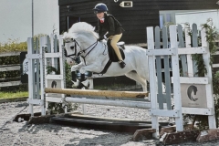 Penny-Richardson-Horse_Pony-Elberry-Suilen