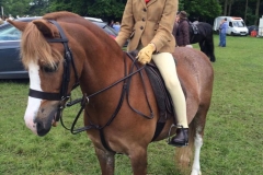 Georgie osmond and Lafar Tia