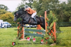 Ellis Priestley Horse:Pony Tysgubor Owain