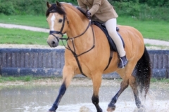 Tori Oakes and Roseberry Model Man copy