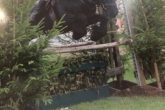 Andrea-Pearman-and-Lownthwaite-Ribas