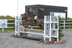 Chloe-chubb-Horse_Pony-Popsters-Mister-Nando