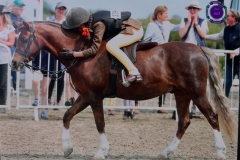 Elizabeth-Rooke-Horse_Pony-Llanai-Renaissance