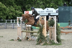 Isobel-Radford-Jones-Horse_Pony-Rhoswen-Jimmy