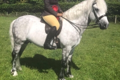 Frederiksminde Volcano and Vicki Casey