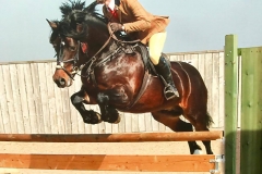 Gwerniago gethin and Ashley bird