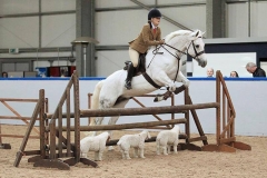 Hannah Hall and Hey Bob