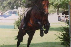 Willoway Free Spirit & Laura Avery