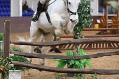 Cairns Fergus and Tori Oakes