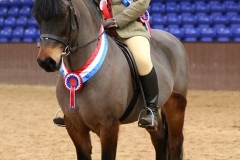 Furzley Accolaide and Sally Anne Pierson