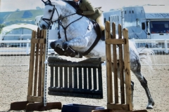 Rebecca-Hoyle-Horse-Pony-Cavan-lady