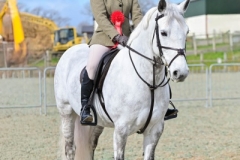 Esther-Edwards-Horse_Pony-Ballinaguilkey-Minstreal