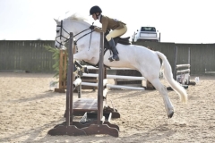 Ollie-Rowlands-Horse_Pony-Dunran-Love-In-The-Mist
