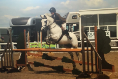 Helen Taylor Horse:Pony Derrartha Lad