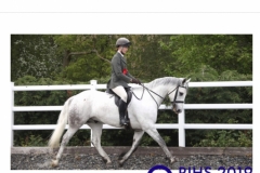 Becca Norris and Ballybane Shadow