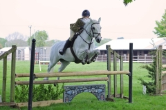 Aimee-White-Horse_Pony-Lisnadrisha-TicTac