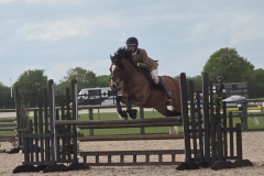 Faith-Goforth-Horse_Pony-Godebog-Picasso