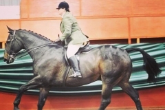 Foxcourt all talk and Sarah Tait