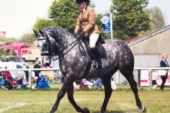 Elysiums new dawn and Bronté Thompson