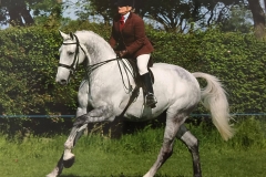 Glenda Gosling and Faraon De la Diligence