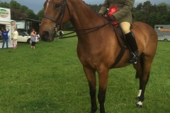 Katie croft Horse:Pony Mill lane