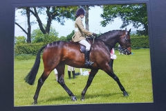 Shirley's Downtown and Alexandra Naylor